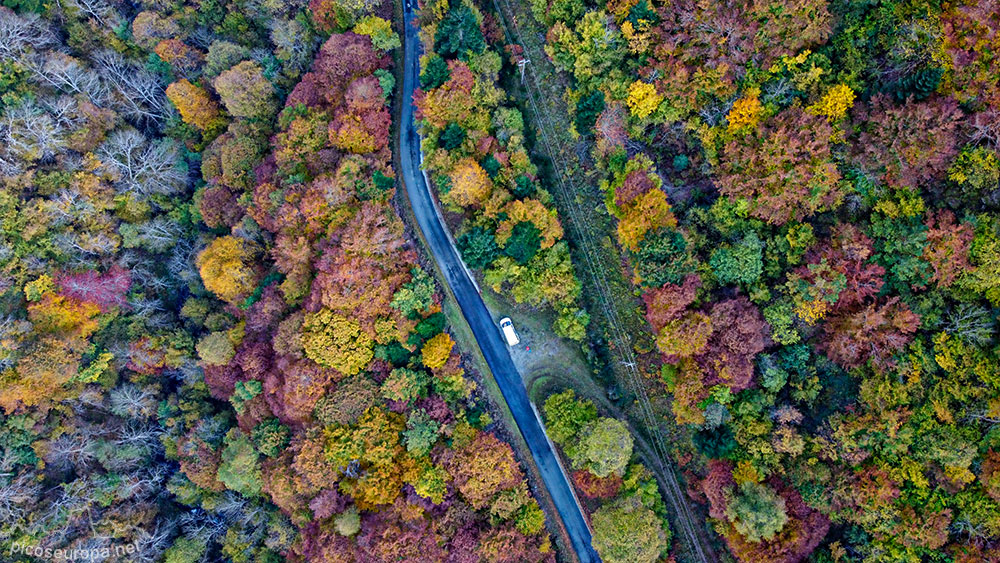 Otoño en el Val de Toran. Val d'Aran, Pirineos, Catalunya.